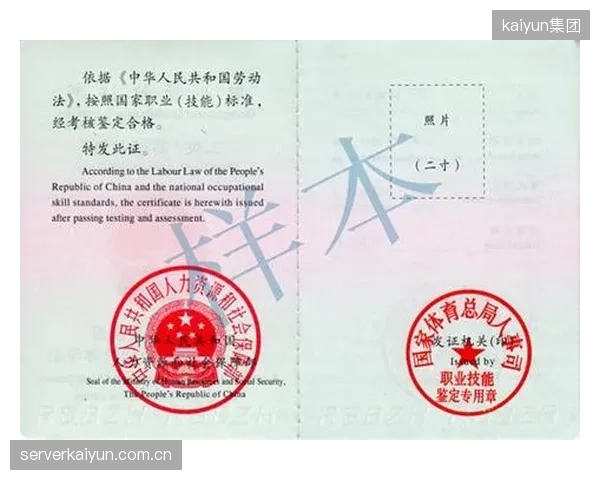 国内体育经纪人市场规模庞大，为何专业的职业认证与监管体系长期缺位？